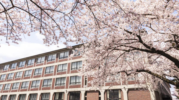 岩手中学校と他の岩手県内中学校を比較！特色やカリキュラムの違いとは？