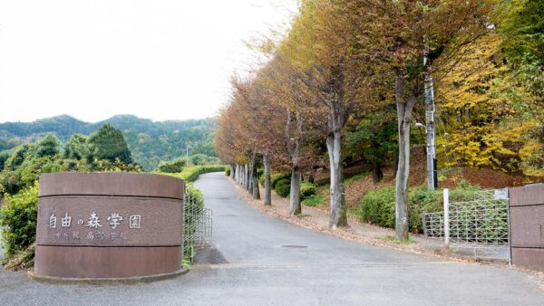 【自由の森学園】その魅力とは？独自の教育方針と学校生活を徹底解説！